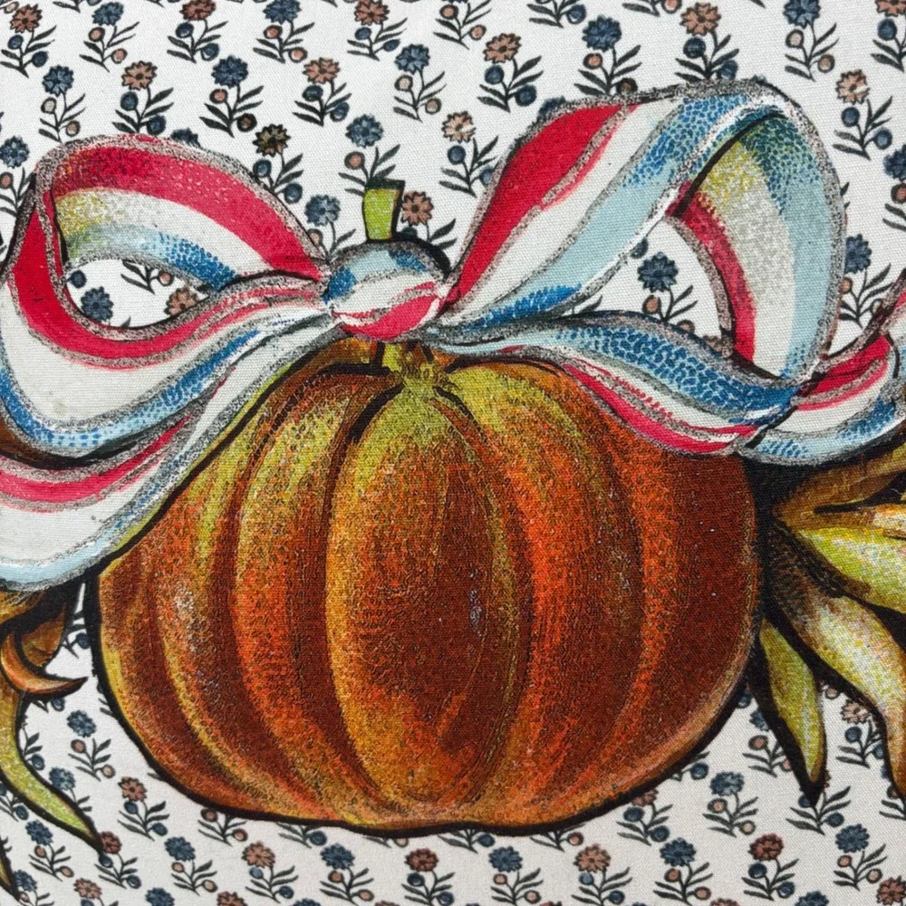 John Derian for Target Pumpkin Harvest Decorative Pillow Rust Velvet Back 16x16